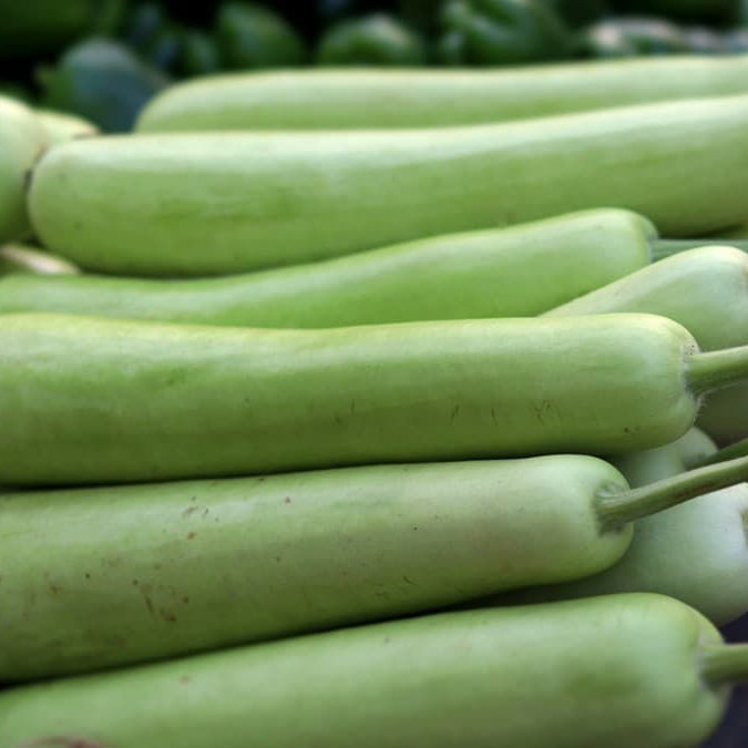 Bottle Gourd-Lauki