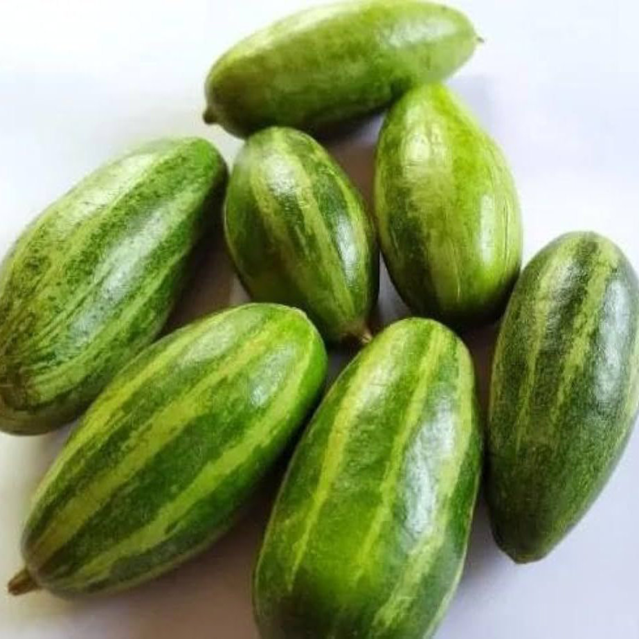 Pointed Gourd-Patal